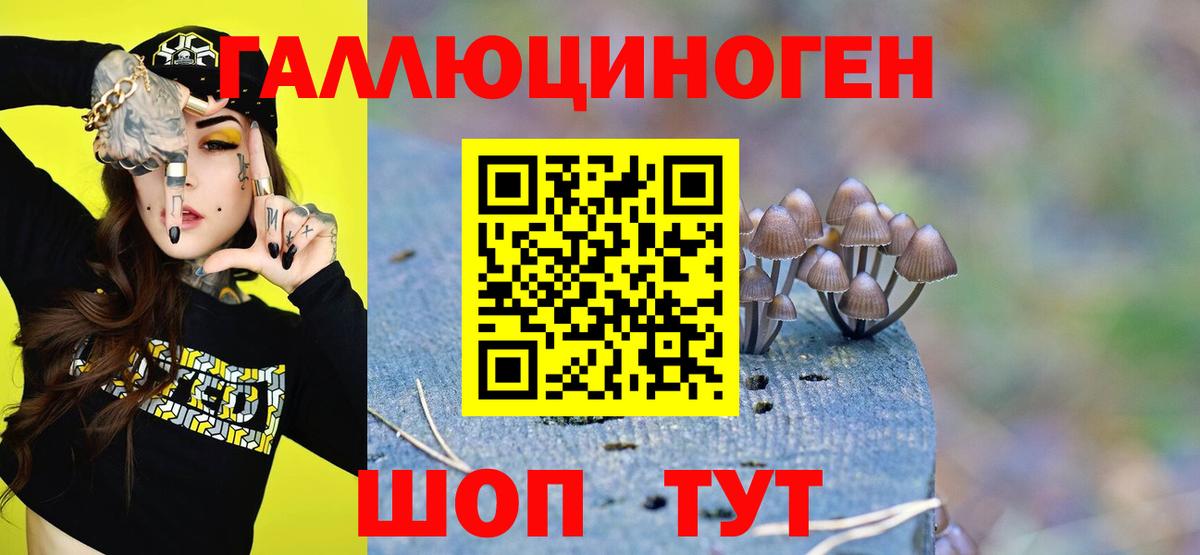 Галлюциногенные грибы мицелий  Вход с VPN  Ялта  Галлюциногенные грибы ЛСД 